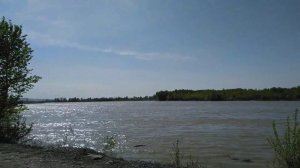 A walk during the flood