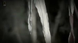 Тайный История Салах Ад Дин Аюби !!  Истрияи Саллохиддини Аюби! Гуш кунед !!!