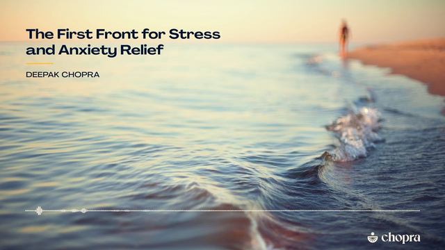 Deepak Chopra: The First Front for Stress and Anxiety Relief: A Guided Meditation смотреть онлайн