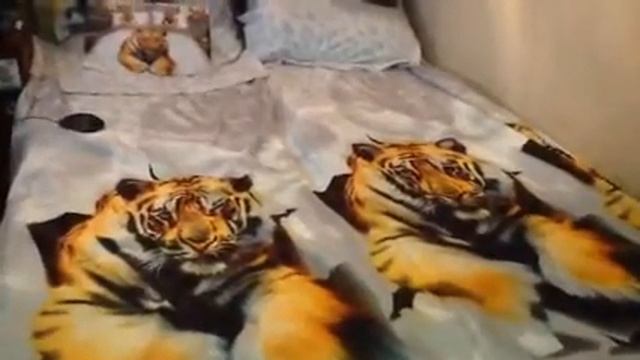 Покупка в интернет магазине - постельное белье в 3Д смотреть онлайн