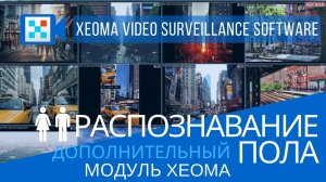 Распознавание пола в Xeoma. Искусственный интеллект.