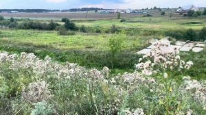 Спасем пруд в селе Юськи, Удмуртская Республика