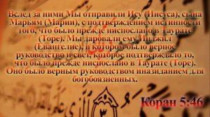 Ислам и Библия | Мусульмане, о искажении Библии!