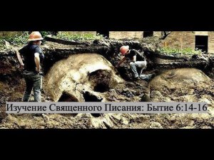 Изучение Священного Писания (Ветхий Завет): детальный разбор книги Бытия, 6 глава. стихи 14 - 16.