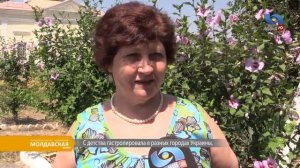 Молдавская волна - День молдавского языка