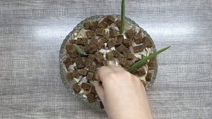 САЛАТЫ С СОЛЕНОЙ РЫБОЙ! ЛЮБИМЫЕ РЕЦЕПТЫ К ПРАЗДНИЧНОМУ СТОЛУ