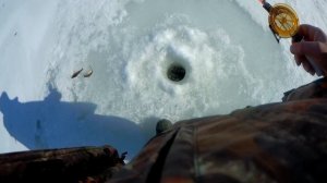 Зимняя рыбалка в Саратовской области. Рыбалка в Юбилейном. 07.03.2021 г.