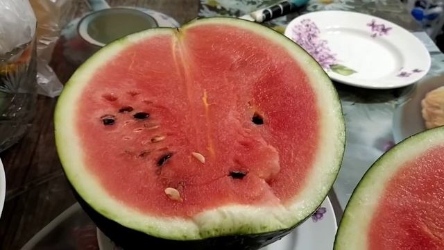 Супер сорт арбуза для Сибири! смотреть онлайн