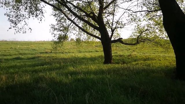 Велозаезд Рязань - Дивово