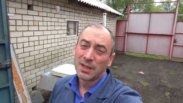 Дезинфекция птичника и оборудования. Вывелись новые птенцы!