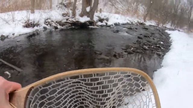 Trout Fishing With Berkely Gulp Leeches смотреть онлайн