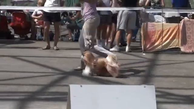 20120505130252.mpg смотреть онлайн