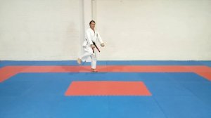 Kenpo Karate Short Form 3