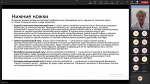 Неврология. Лекция 4. 22.09.2023