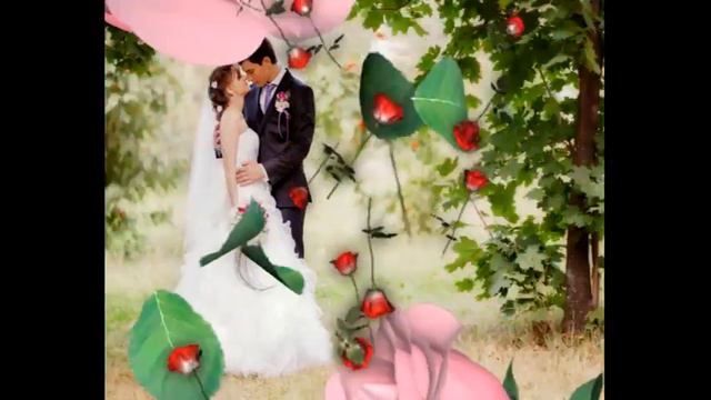 Футажи эффекты Падающие розы смотреть онлайн