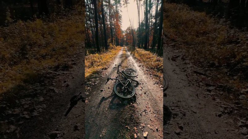 #велосипед #велоспорт #велопрогулка #велосипеды #байк #bike #cycling #cyclinglife #cyclingmotivation