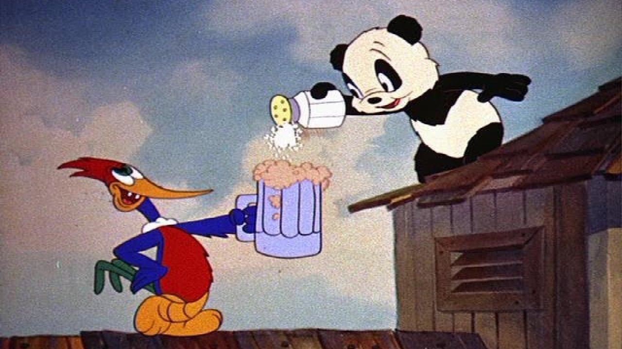 05 Энди Панда и Дятел Вуди / Andy Panda and Woody Woodpecker — Knock Knock