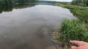 № 8 Мормышинг на реке Вязь #мормышинг