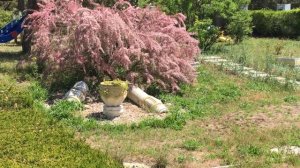 Евпатория. Санаторий Гелиос. Корпус Романова, 2019г.