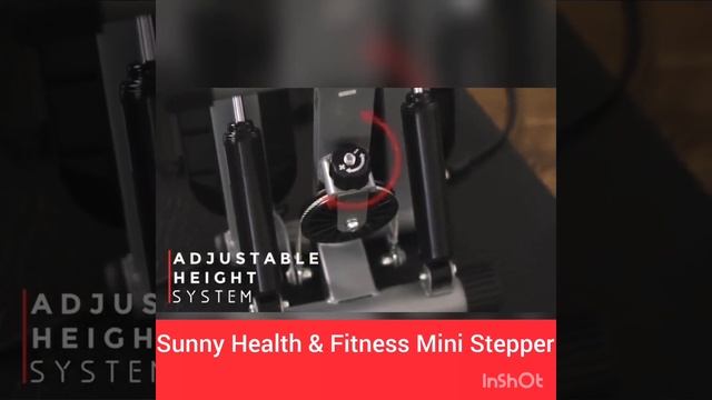 Fitness and beauty products/Sunny Health & Fitness Mini Stepper