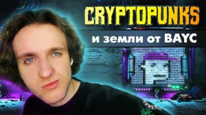 NFT. CRYPTOPANKS И ЗЕМЛИ ОТ BAYC