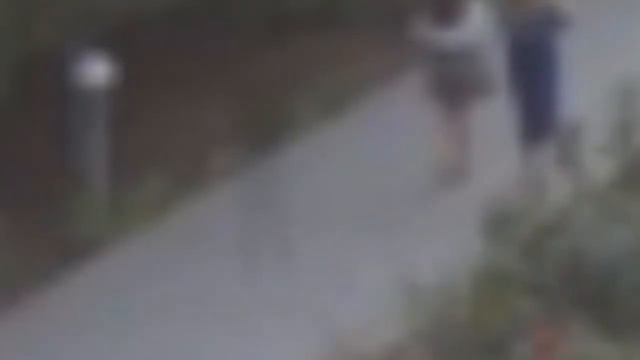 Секретные материалы. Паранормальные явления 17 смотреть онлайн