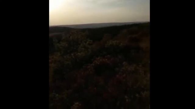 С субботним праздником, дорогие друзья! смотреть онлайн