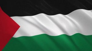 Развевающийся флаг Палестины / Waving Flag of Palestine