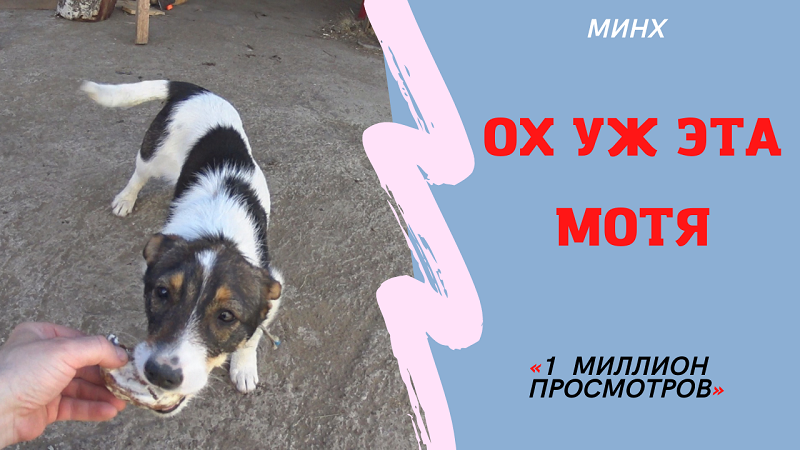 Ох уж эта тётя Мотя