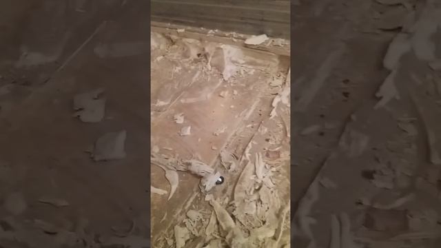 Ремонт пола полуприцепа кроне