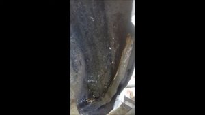 ремонт арок авто с помощью эпоксидной смолы