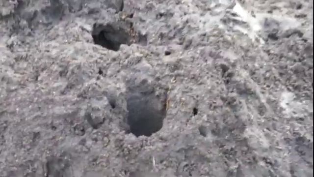 Кения Масайская деревня Уничтоженный термитами дом смотреть онлайн