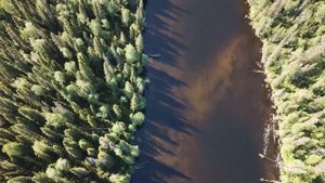 Рыбалка в Архангельской области август 2018