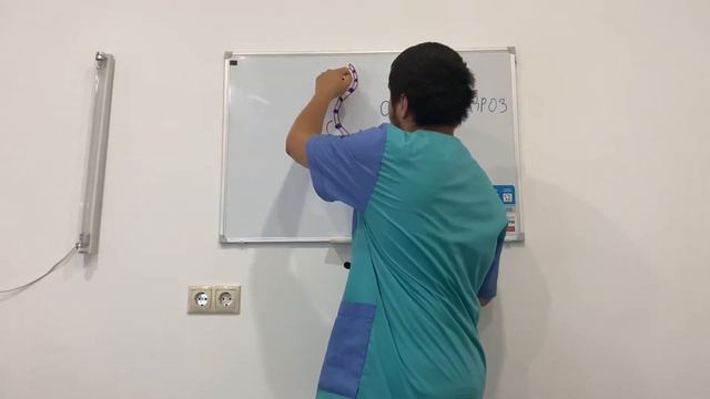 Хиджама при остеохондрозе / Механизм действия Хиджамы