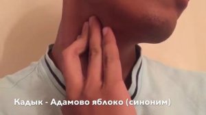 Как измерять пульс на запястье и на шее сонная и лучевая артерия