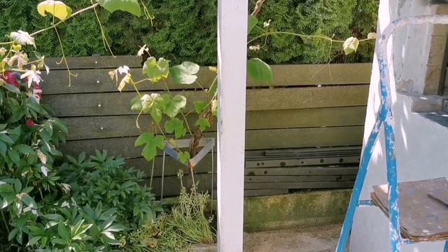 ПЕРЕДЕЛКА КАМИНА! НУЖНА ВАША ПОМОЩЬ И СОВЕТ ?♀️?♀️?♀️ДАЧА! ОГОРОД! УЧАСТОК! смотреть онлайн