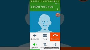 звонок деду морозу