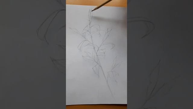 Рисуем ветку с молодыми листьями смотреть онлайн