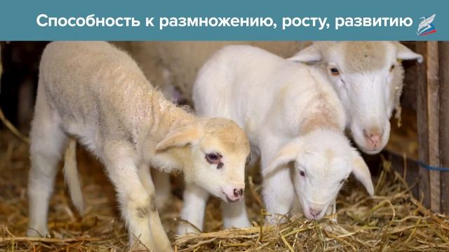 Зоология как наука
