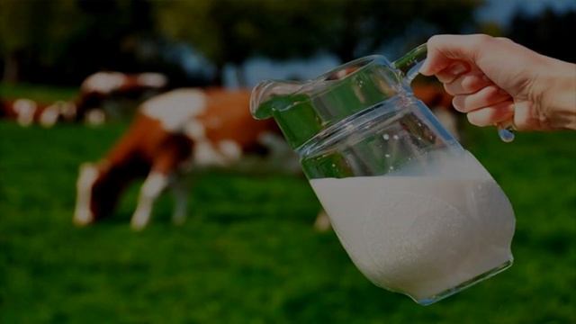 Как проверить свежесть продуктов