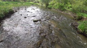 Летний поход по реке Зырянка