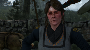 The Witcher 3: Wild Hunt - Complete Edition ▶ Пропавшие цыплята