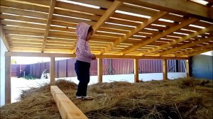 Сеновал#Какие дикие грядки#обзор)