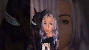 Доберман TikTok часть 1