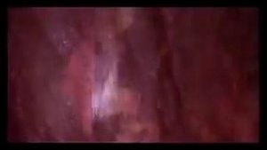 Гассан - клип с Агатой Муцениеце