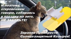 Не промахнуться бы с Козырьком от Солнца на авто?!