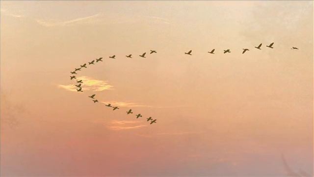 Adrian Berenguer (The Court) смотреть онлайн