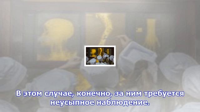 Как ухаживать за больными с деменцией. советы московского врача смотреть онлайн