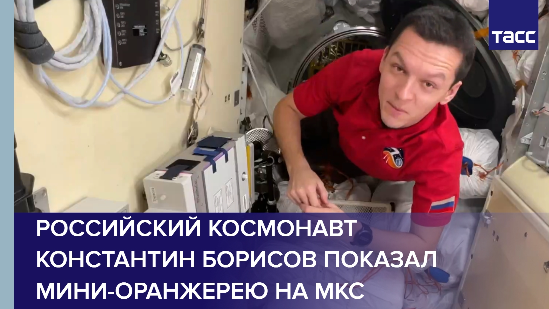 Российский космонавт Константин Борисов показал мини-оранжерею на МКС