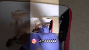 Как вытащить кости из рыбы и чтоб после этого рыба оставалась целиком